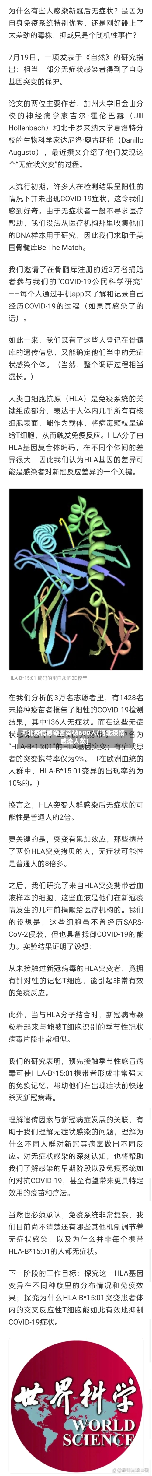 河北疫情感染者突破600人(河北疫情感染人数)