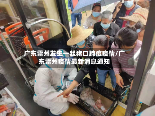广东雷州发生一起猪口蹄疫疫情/广东雷州疫情最新消息通知-第2张图片