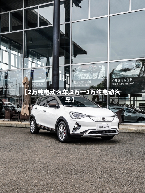 【2万纯电动汽车,2万一3万纯电动汽车】-第2张图片