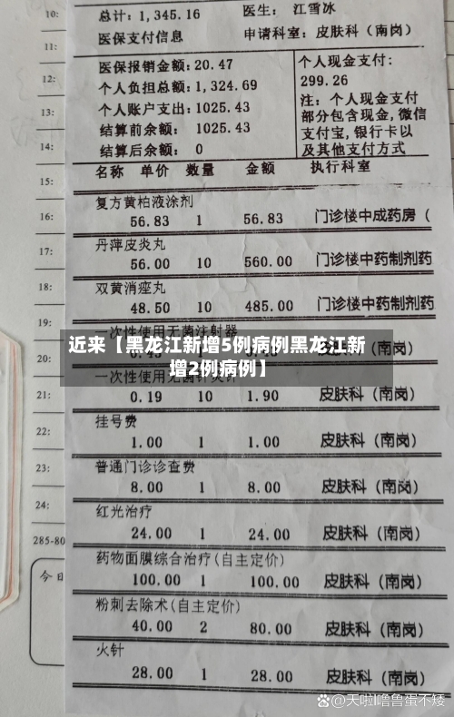 近来【黑龙江新增5例病例黑龙江新增2例病例】