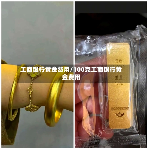工商银行黄金费用/100克工商银行黄金费用-第3张图片