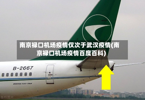 南京禄口机场疫情仅次于武汉疫情(南京禄口机场疫情百度百科)-第2张图片