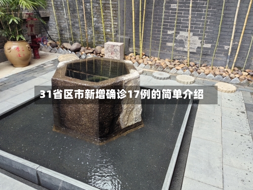 31省区市新增确诊17例的简单介绍-第3张图片