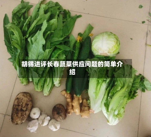 胡锡进评长春蔬菜供应问题的简单介绍
