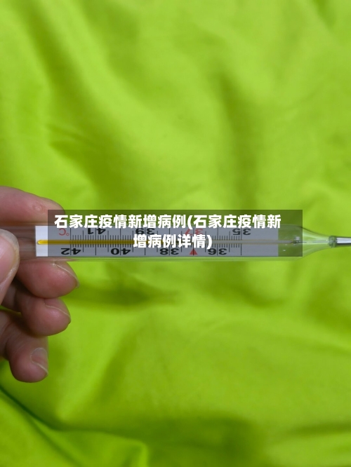 石家庄疫情新增病例(石家庄疫情新增病例详情)