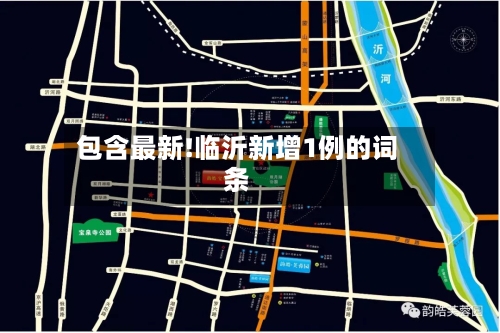 包含最新!临沂新增1例的词条