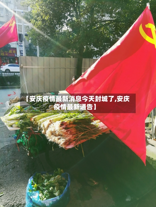 【安庆疫情最新消息今天封城了,安庆疫情最新通告】