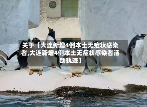 关于【大连新增4例本土无症状感染者,大连新增4例本土无症状感染者活动轨迹】-第2张图片