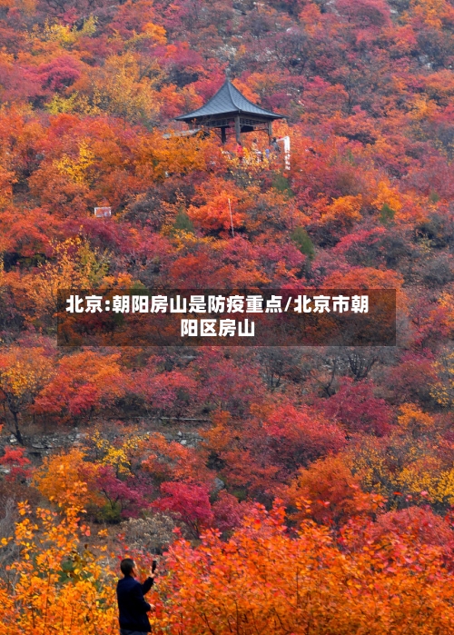 北京:朝阳房山是防疫重点/北京市朝阳区房山