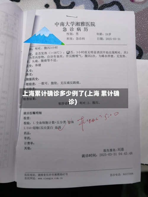 上海累计确诊多少例了(上海 累计确诊)-第2张图片