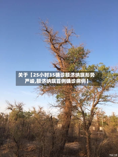 关于【25小时35确诊额济纳旗形势严峻,额济纳旗首例确诊病例】