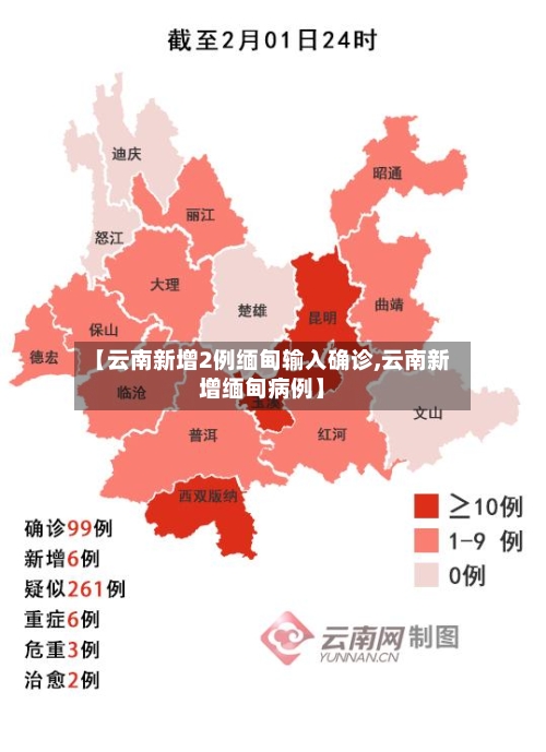 【云南新增2例缅甸输入确诊,云南新增缅甸病例】-第2张图片