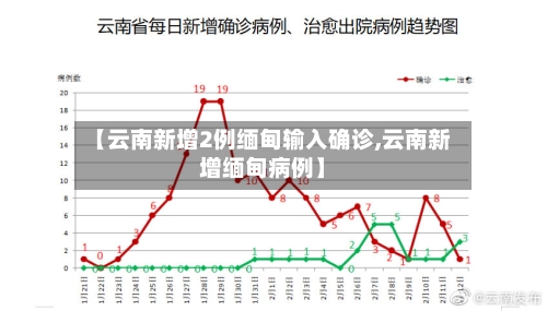 【云南新增2例缅甸输入确诊,云南新增缅甸病例】