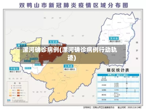 漯河确诊病例(漯河确诊病例行动轨迹)-第3张图片
