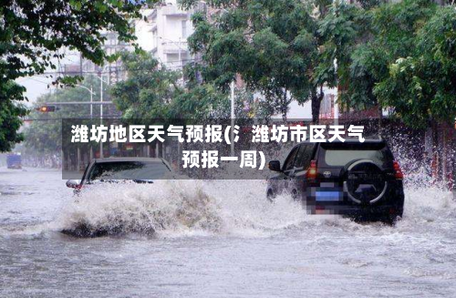 潍坊地区天气预报(氵潍坊市区天气预报一周)