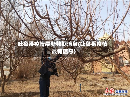 吐鲁番疫情最新数据消息(吐鲁番疫情最新信息)-第2张图片