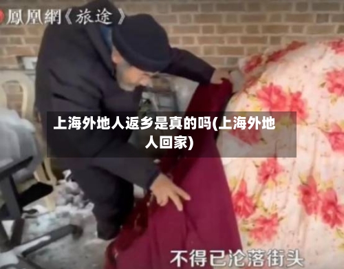 上海外地人返乡是真的吗(上海外地人回家)