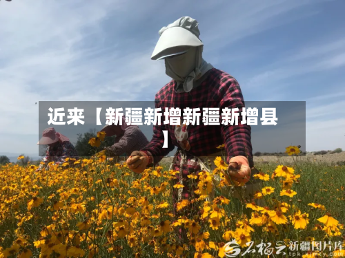 近来【新疆新增新疆新增县】-第2张图片