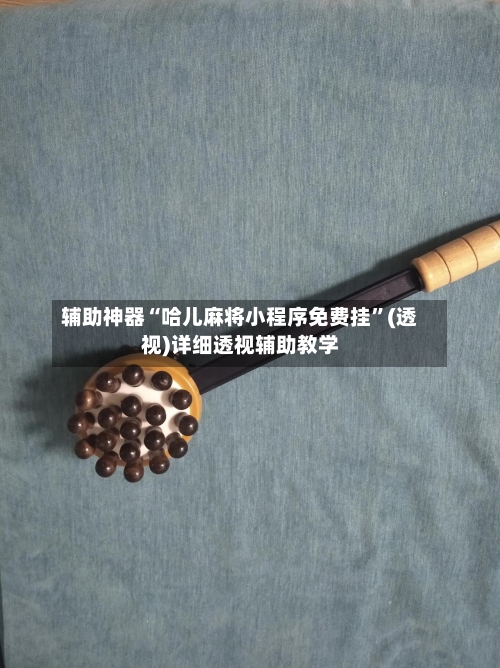 辅助神器“哈儿麻将小程序免费挂”(透视)详细透视辅助教学-第2张图片