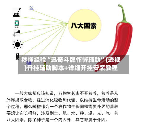 秒懂经验“迅奇斗牌作弊辅助”(透视)开挂辅助脚本+详细开挂安装教程-第2张图片