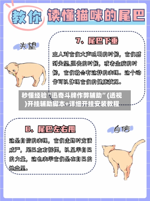 秒懂经验“迅奇斗牌作弊辅助”(透视)开挂辅助脚本+详细开挂安装教程