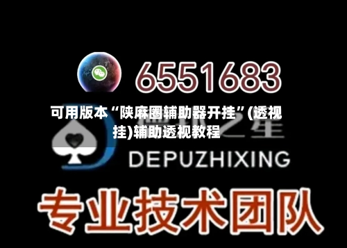 可用版本“陕麻圈辅助器开挂”(透视挂)辅助透视教程