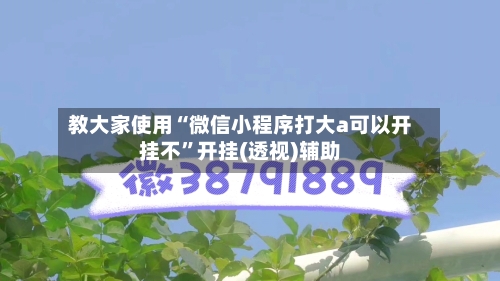 教大家使用“微信小程序打大a可以开挂不”开挂(透视)辅助-第3张图片