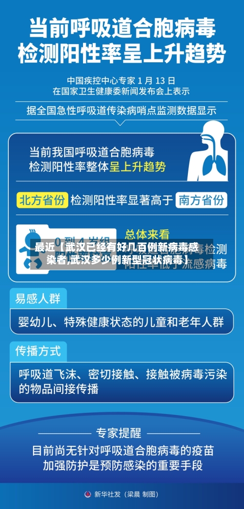 最近【武汉已经有好几百例新病毒感染者,武汉多少例新型冠状病毒】-第3张图片