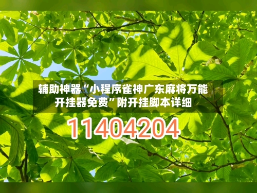 辅助神器“小程序雀神广东麻将万能开挂器免费	”附开挂脚本详细-第2张图片