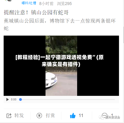 [教程经验]一起宁德游戏透视免费	”(原来确实是有插件)-第3张图片