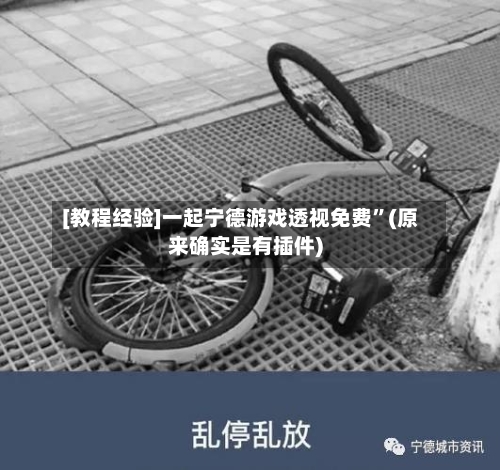 [教程经验]一起宁德游戏透视免费”(原来确实是有插件)-第2张图片