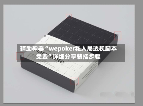 辅助神器“wepoker私人局透视脚本免费”详细分享装挂步骤-第2张图片