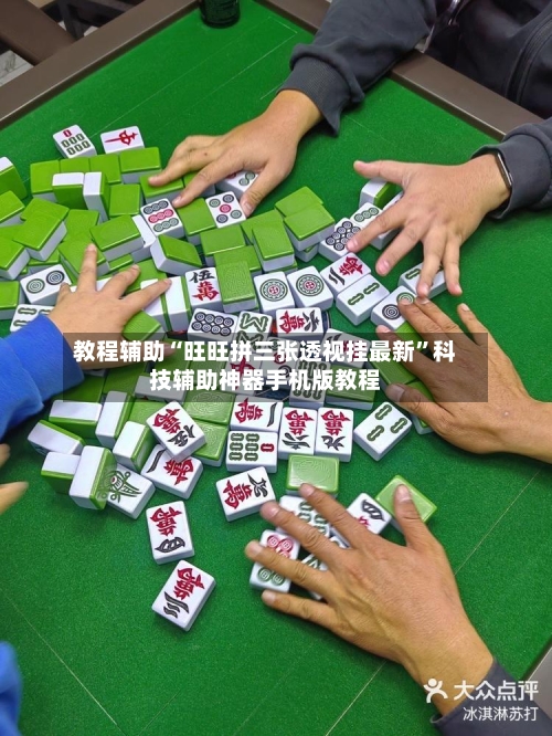 教程辅助“旺旺拼三张透视挂最新”科技辅助神器手机版教程-第2张图片