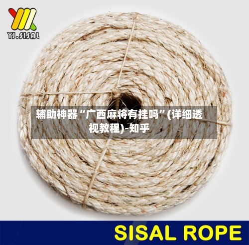 辅助神器“广西麻将有挂吗	”(详细透视教程)-知乎-第2张图片