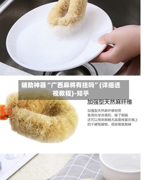 辅助神器“广西麻将有挂吗”(详细透视教程)-知乎-第3张图片