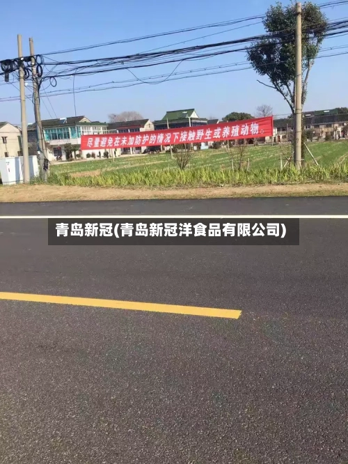 青岛新冠(青岛新冠洋食品有限公司)-第2张图片