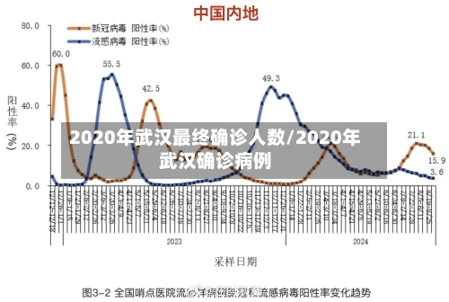 2020年武汉最终确诊人数/2020年武汉确诊病例-第3张图片