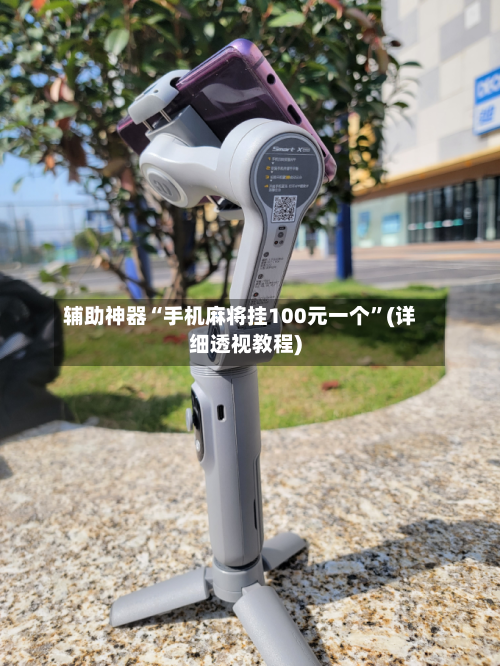 辅助神器“手机麻将挂100元一个”(详细透视教程)