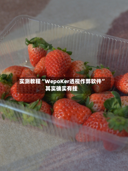 实测教程“WepoKer透视作弊软件”其实确实有挂-第2张图片