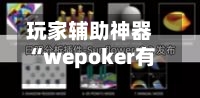 玩家辅助神器“wepoker有透视挂吗”最新透视辅助软件详细教程官方版下载-第2张图片