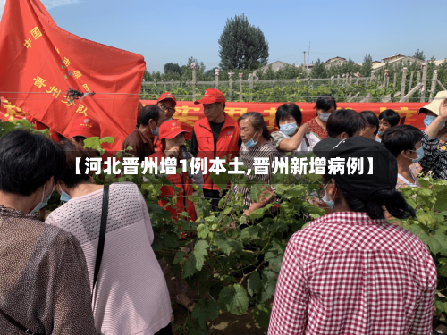 【河北晋州增1例本土,晋州新增病例】-第2张图片