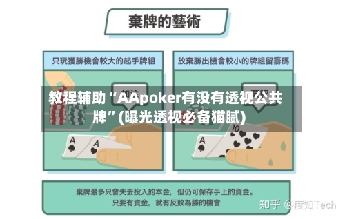 教程辅助“AApoker有没有透视公共牌	”(曝光透视必备猫腻)-第2张图片