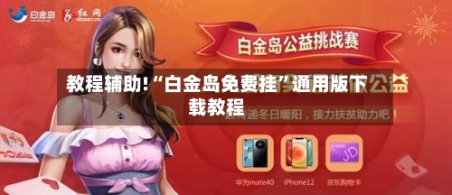 教程辅助!“白金岛免费挂”通用版下载教程-第2张图片