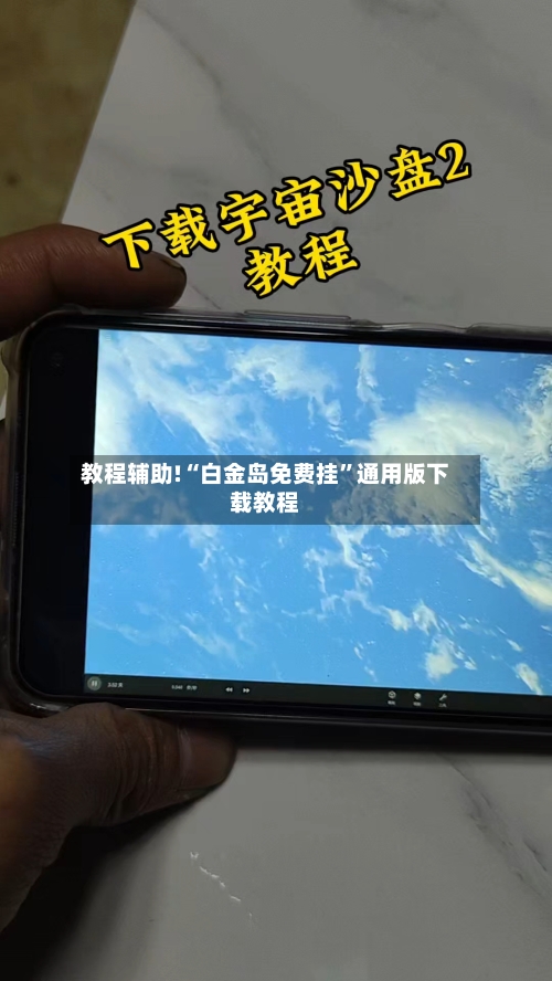 教程辅助!“白金岛免费挂	”通用版下载教程-第3张图片