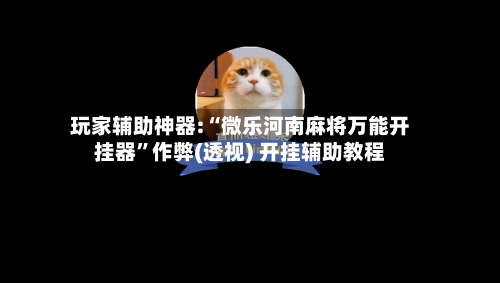 玩家辅助神器:“微乐河南麻将万能开挂器”作弊(透视) 开挂辅助教程-第2张图片