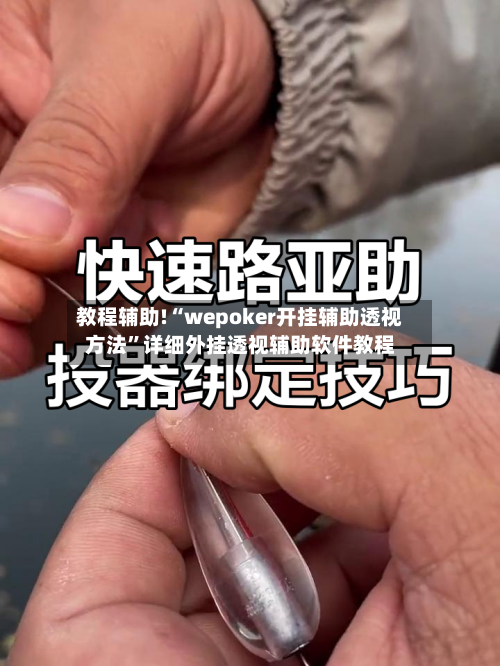 教程辅助!“wepoker开挂辅助透视方法”详细外挂透视辅助软件教程-第2张图片