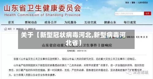 关于【新型冠状病毒河北,新型病毒河北省】