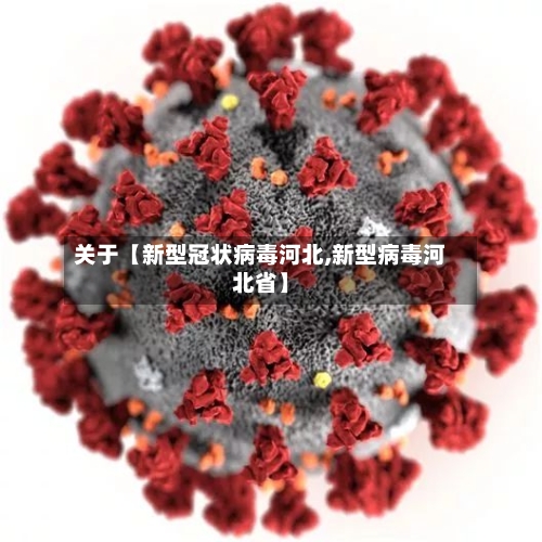 关于【新型冠状病毒河北,新型病毒河北省】-第2张图片