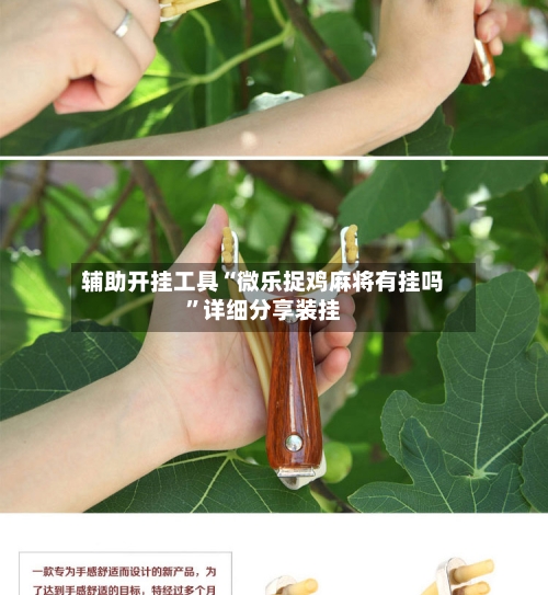 辅助开挂工具“微乐捉鸡麻将有挂吗”详细分享装挂-第2张图片