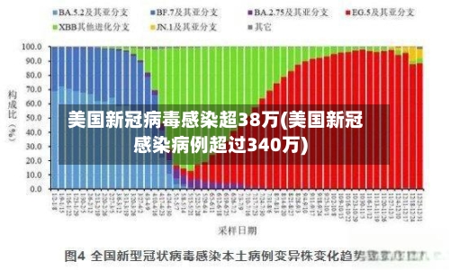 美国新冠病毒感染超38万(美国新冠感染病例超过340万)